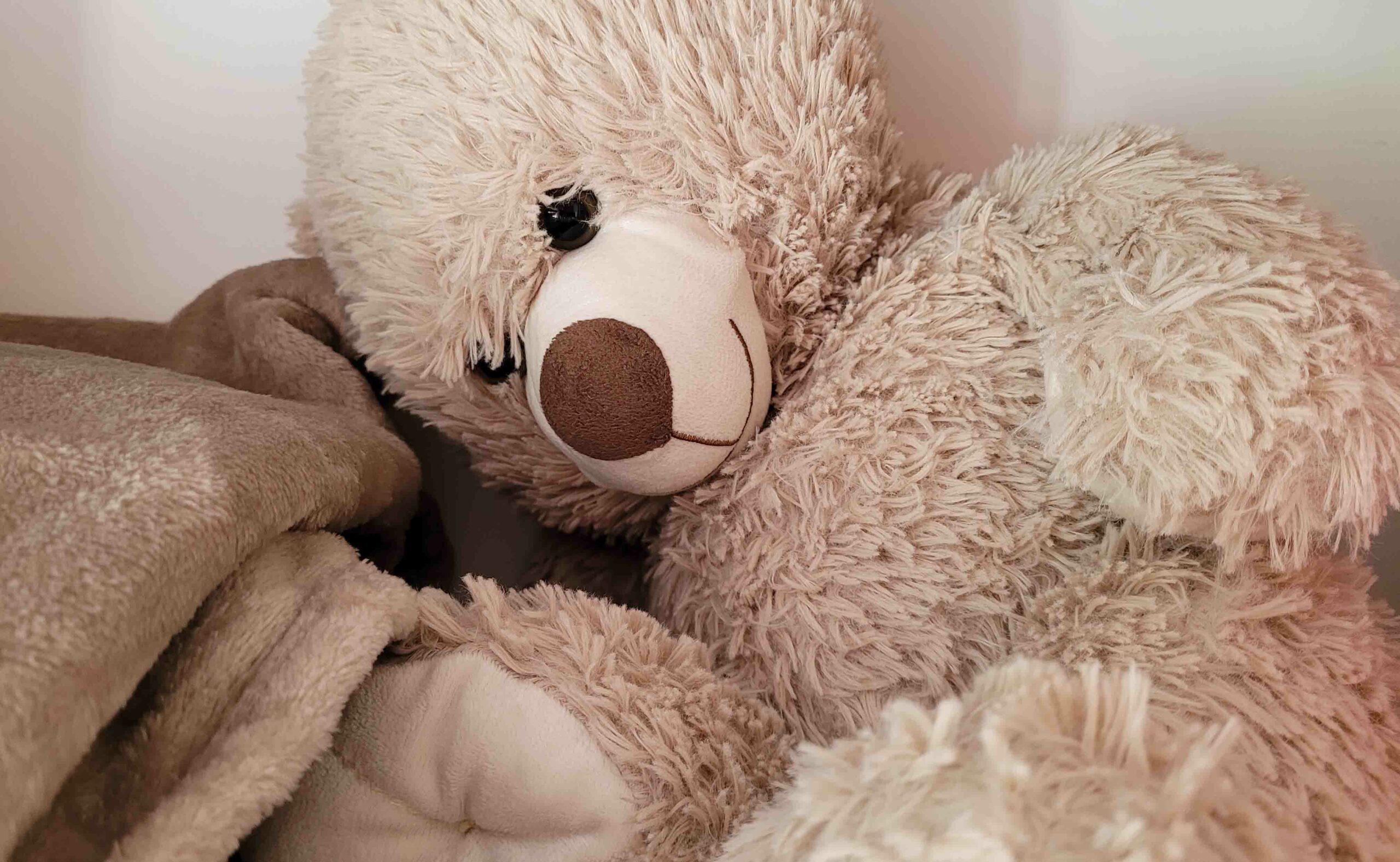 Ourson chambre Guillotin