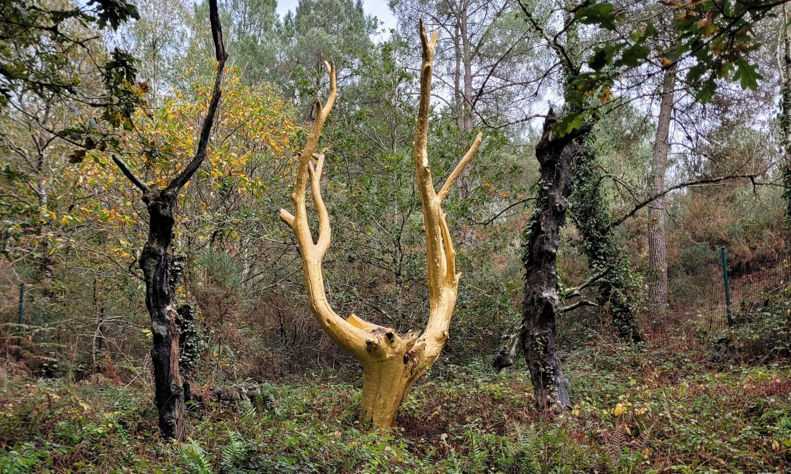 Arbre d'Or Brocéliande